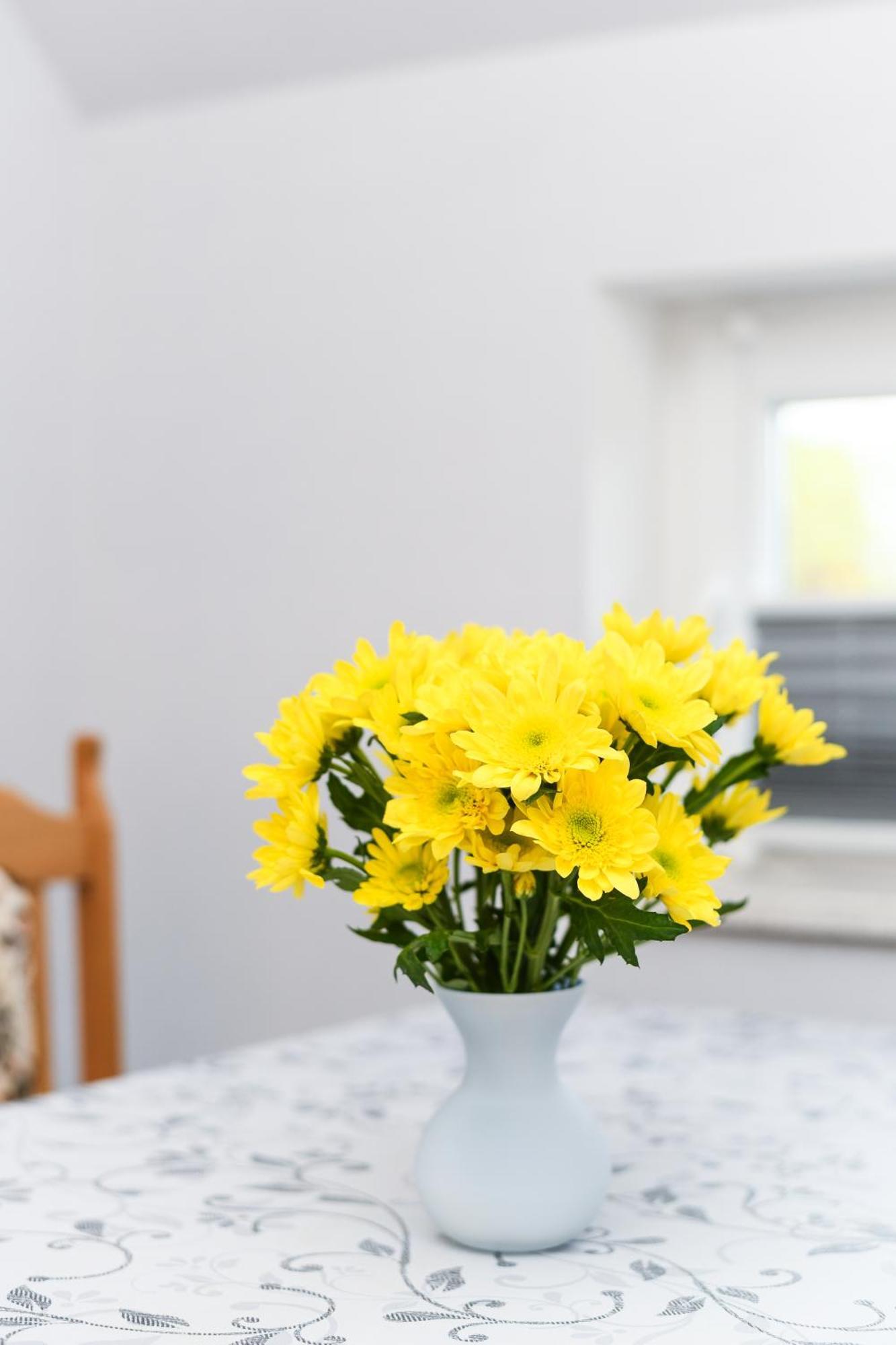 Ferienwohnung Nordmoor Blomberg  Екстериор снимка